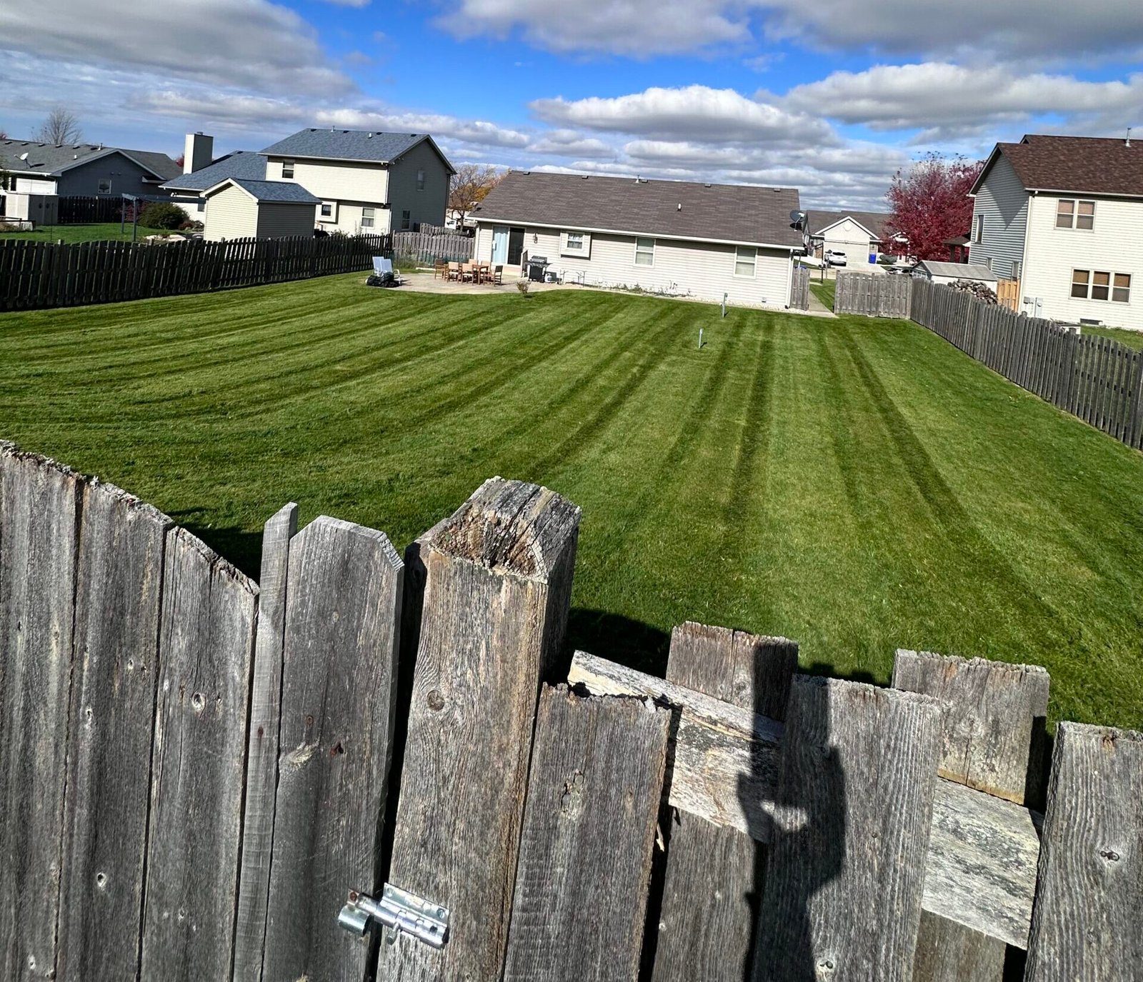 img 9666